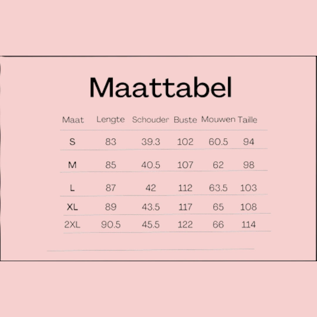 Dames Winterjas Warme En Comfortabele Lange Jas Met Capuchon Voor Koude Dagen
